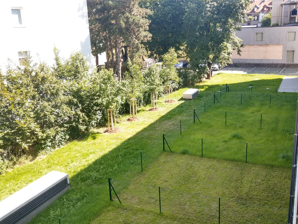 Reininghausstrasse 56, Privatgrundstücke der EG-Wohnungen