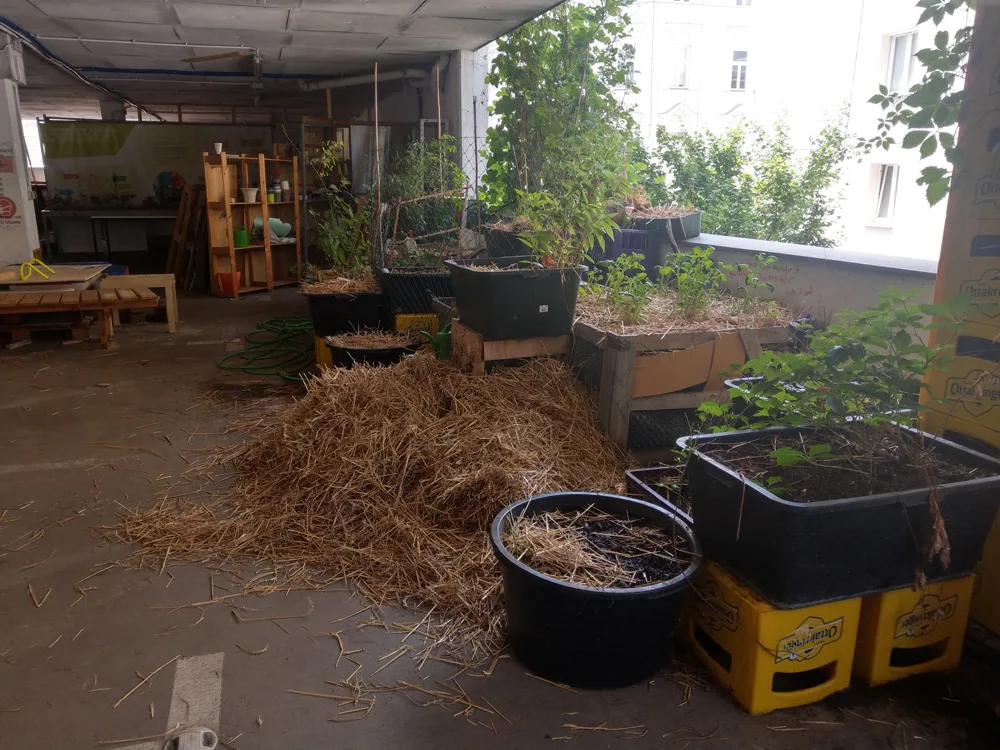 Garage Grande Indoorgarden