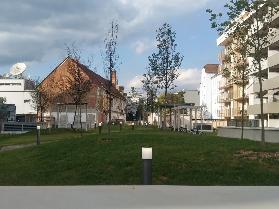 Rankencity Graz Abgestorbene Baeume