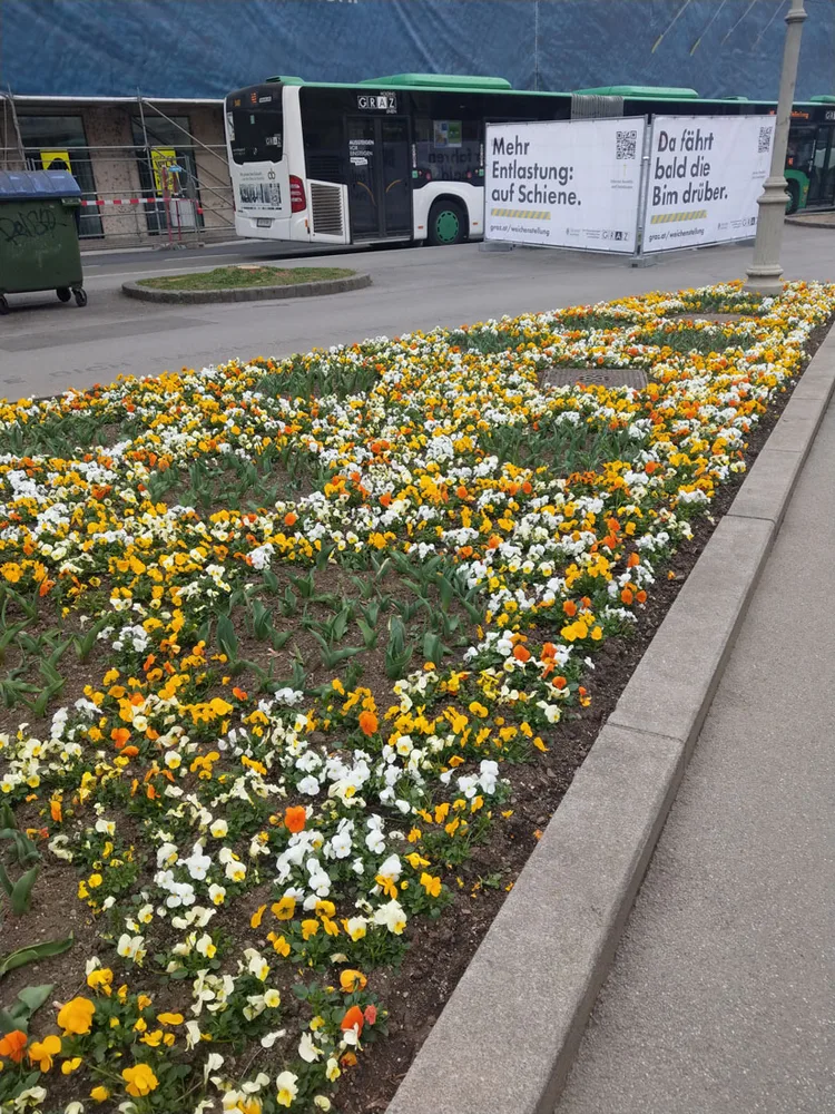Frühlingsflor am Radetzkyspitz in Graz