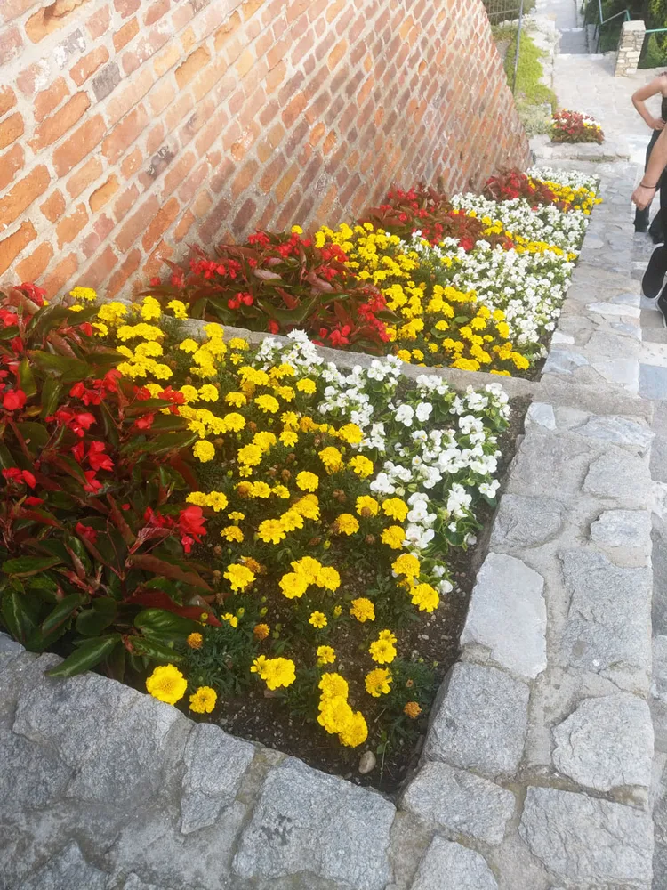 Schmuckbeet am Grazer Schlossberg mit Friedhofscharme