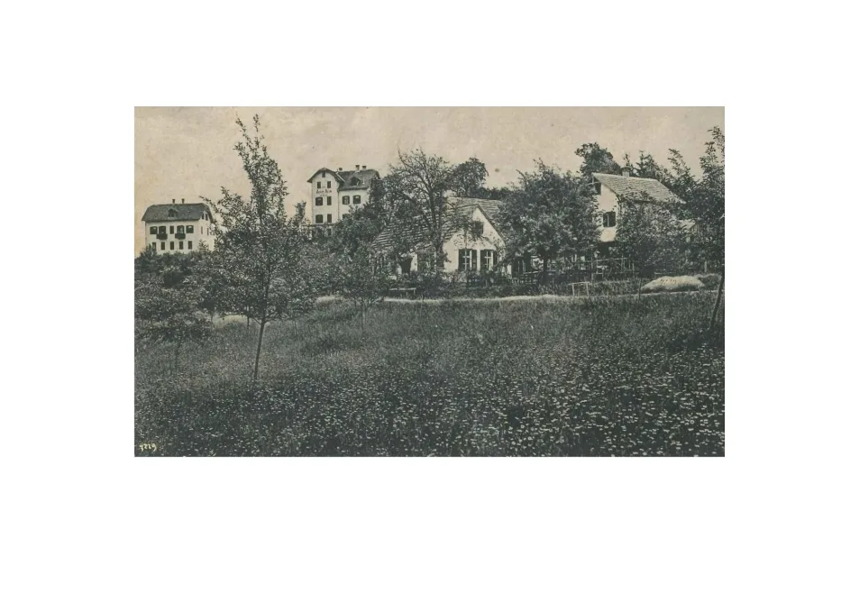 Pension Waldlust am Bucklberg „Villa Wulz“ und das „Annenheim“ in Laßnitzhöhe um 1910