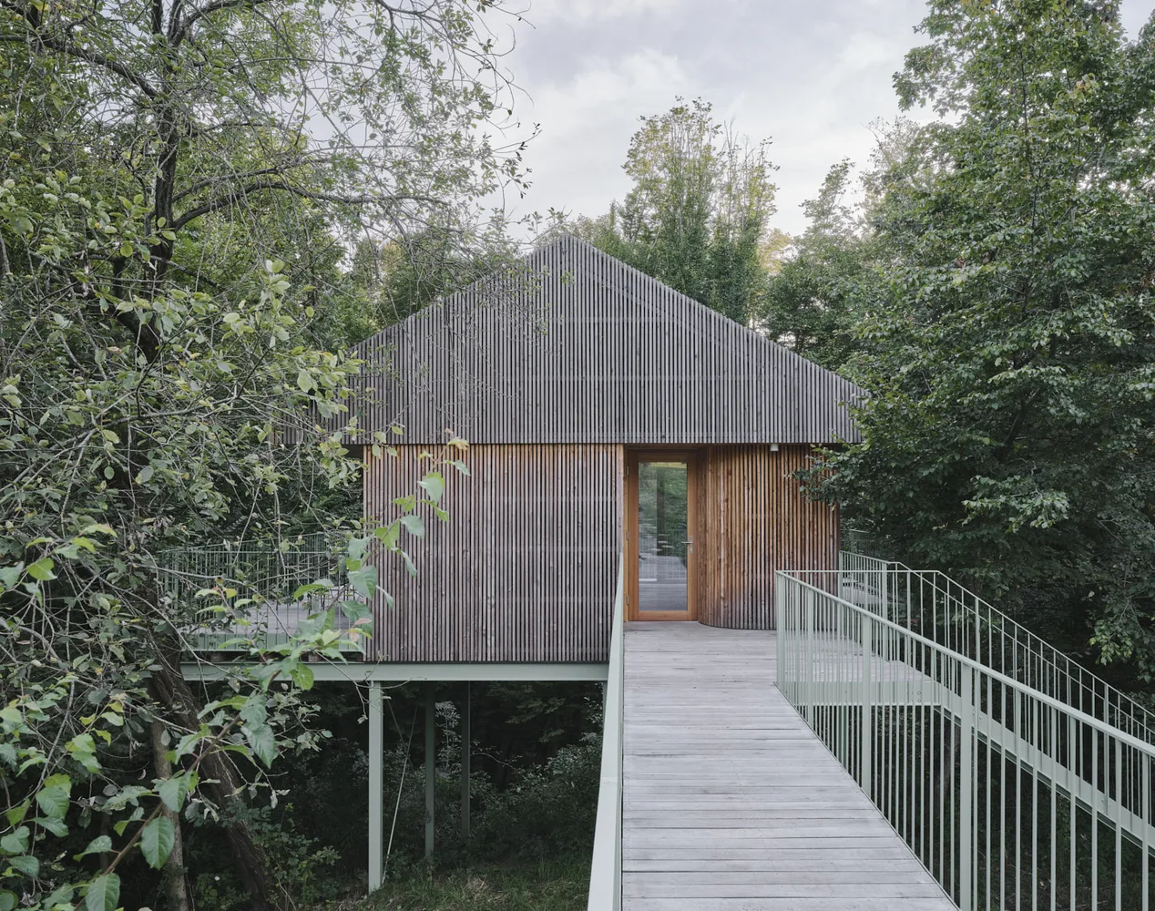 Baumhaus im Wald