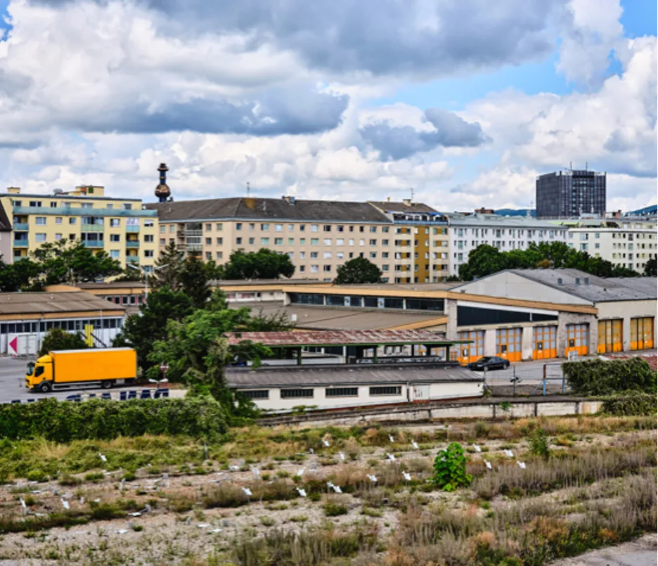 Häuser im Hintergrund, alte Bahnschienen im Vordergrund, Nordwestbahnhof Wien,