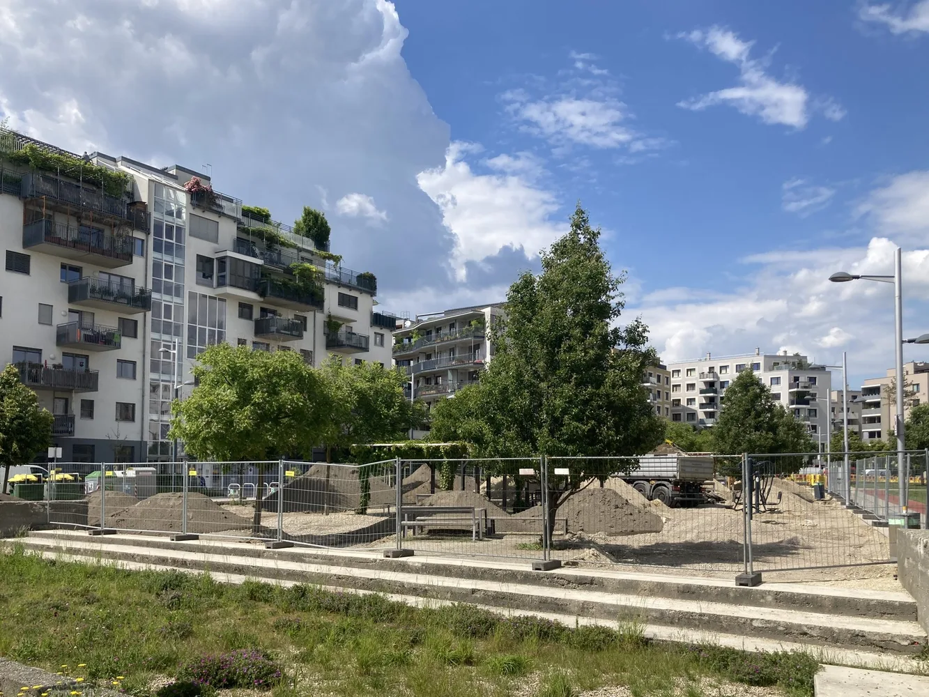 Hannah Arendt Park, 2025, Arbeiten für die Nachbegrünung