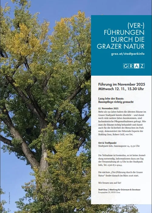 Plakat mit Baum, Stadt Graz, 2025