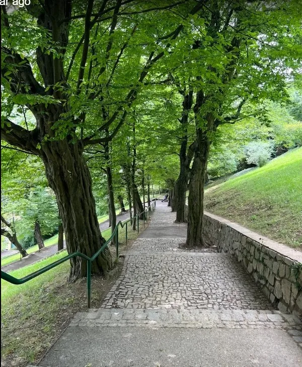 Bild 6: Hainbuchen-Allee