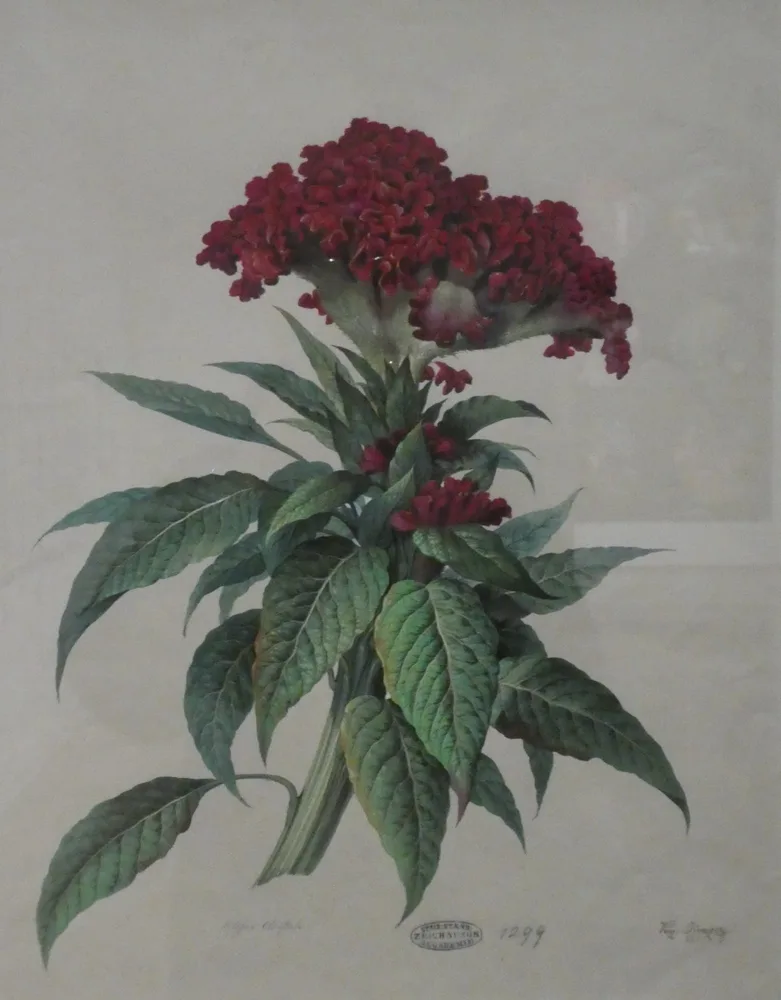 Vinzenz Kreuzer, Hahnenkamm, 1842