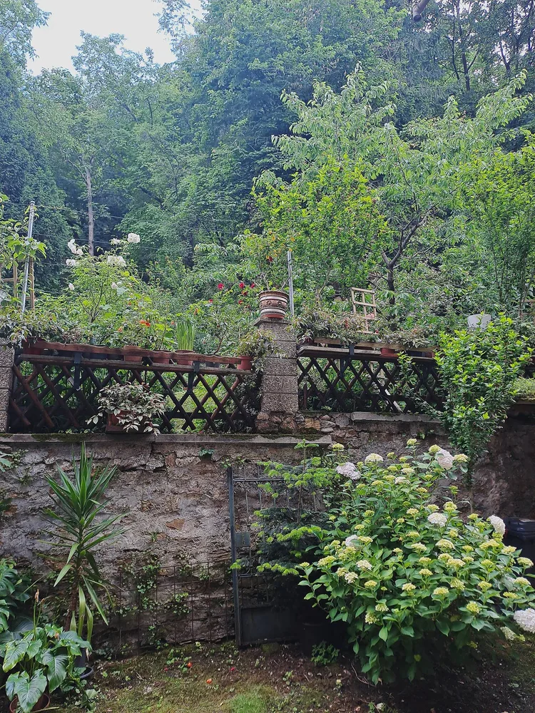 Bild 7: Garten am Schloßbergfuß Foto: Peter Laukhardt