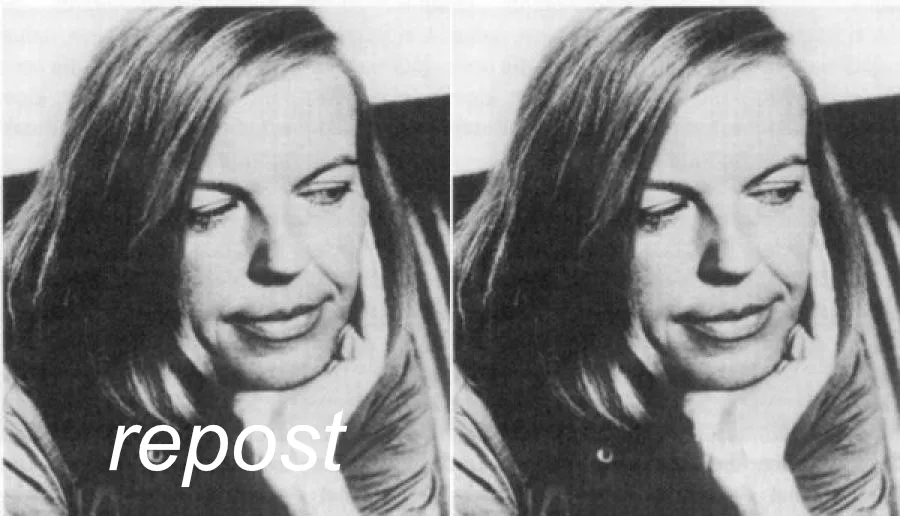 Portrait Ingeborg bachmann
