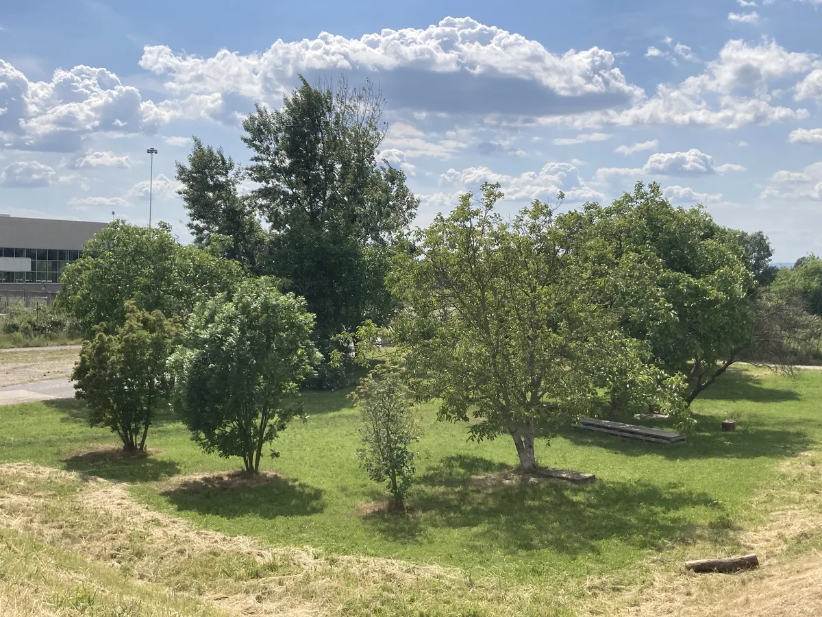 Madame D‘Ora Park Seestadt