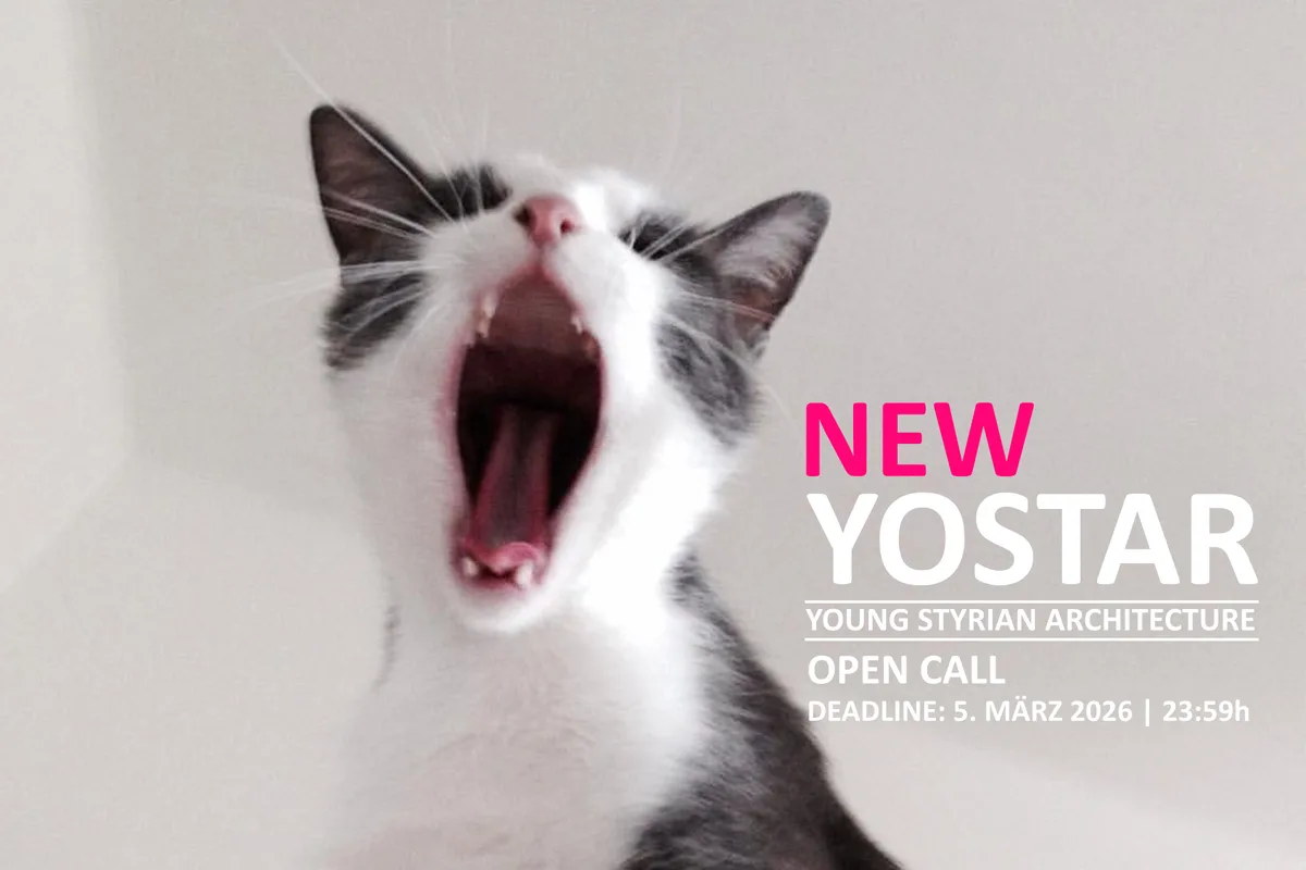 Gähnende Katze, Sujet von NEW YOSTAR, 2026, Foto: Petra Kickenweitz, Armin Stocker