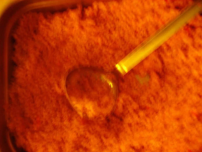 weihnachten_2012_04.jpg