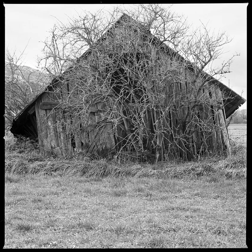 Film Foto Foto Film. Ausstellung im aut.architektur und tirol