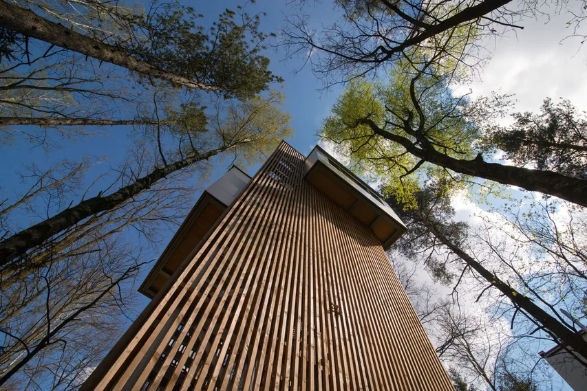 Baumhaus Lodge Schrems