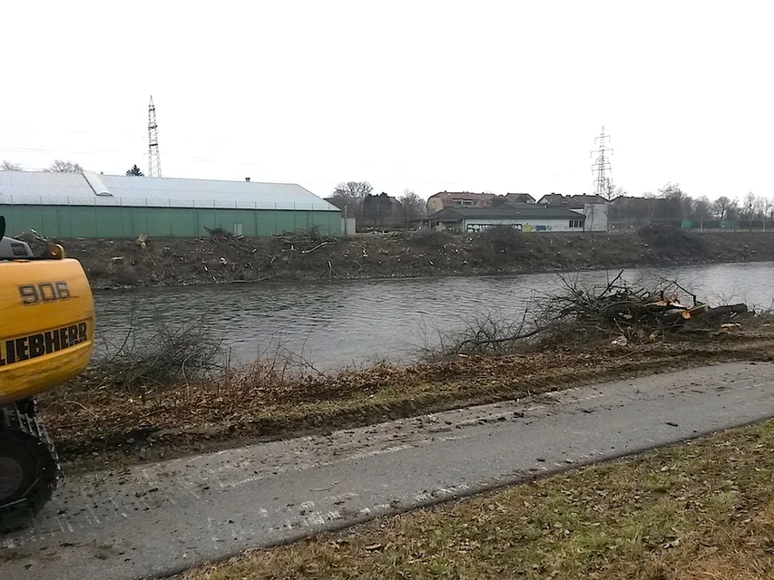 Baumschlägerungen_Puntigam_8.2.2017