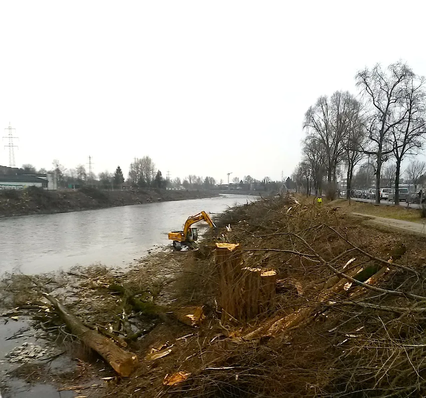 Baumschlägerungen_Puntigam_8.2.2017