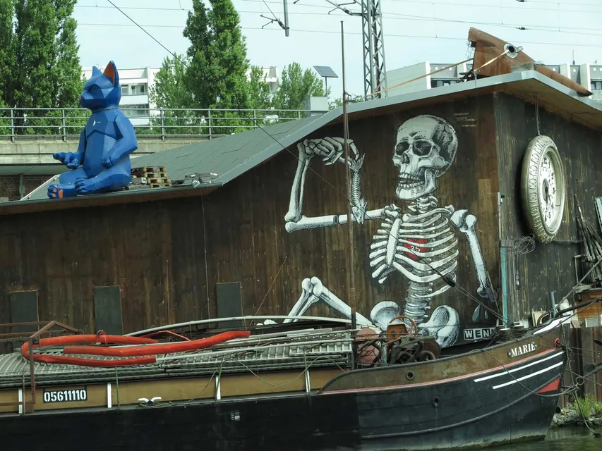 9_kater_blau.jpg