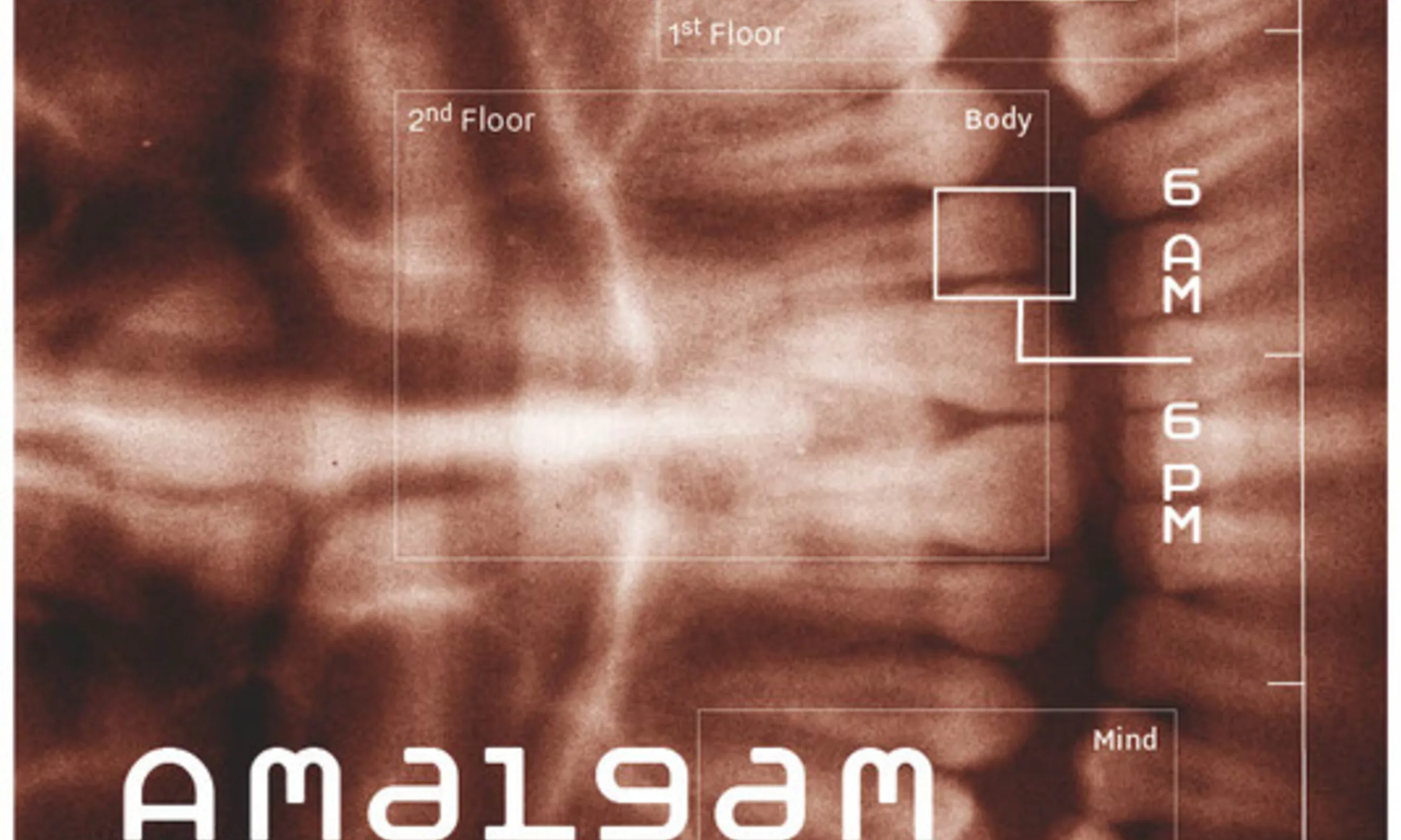 Amalgam