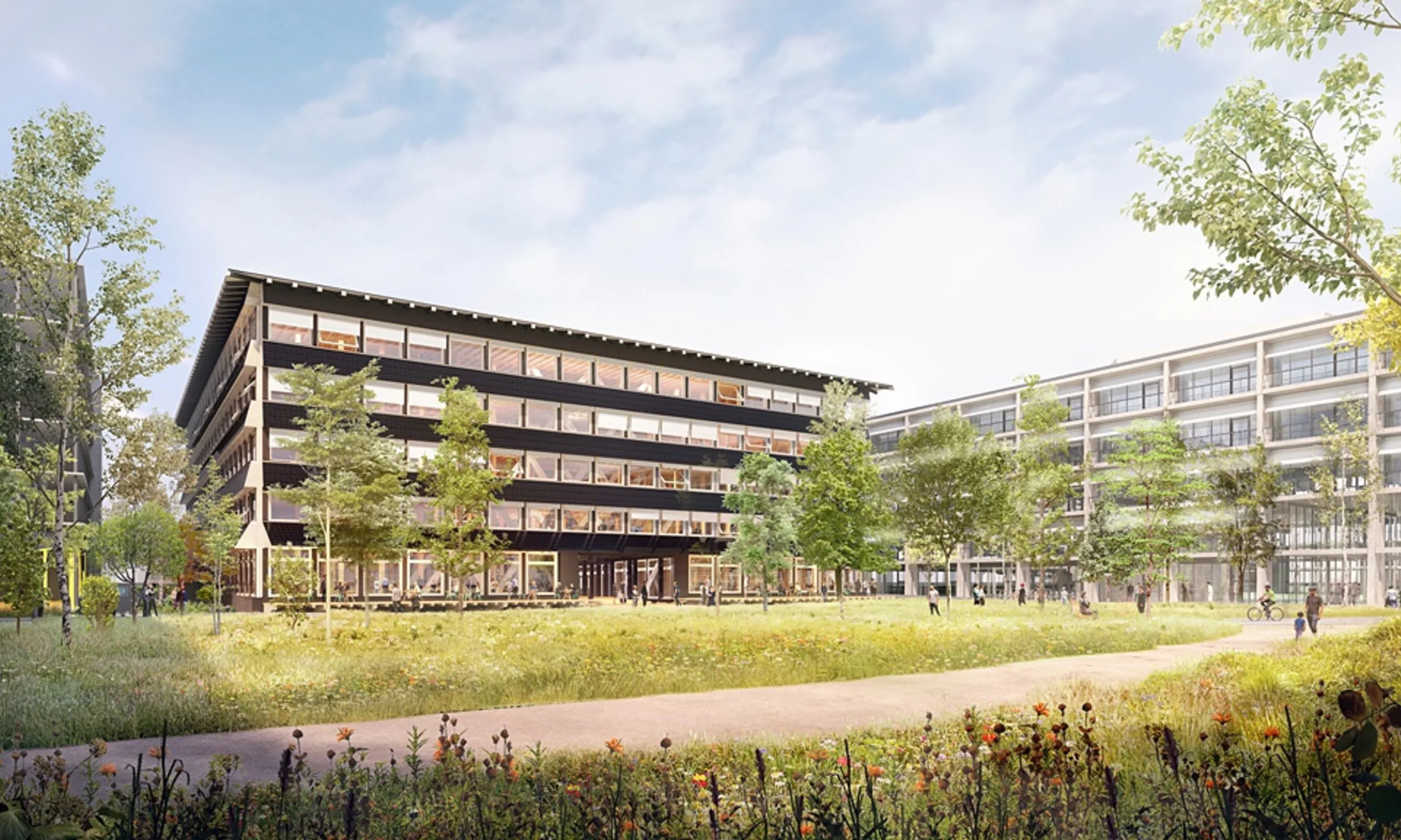 Rendering, Wiese mit zwei Gebäuden im Hintergrund