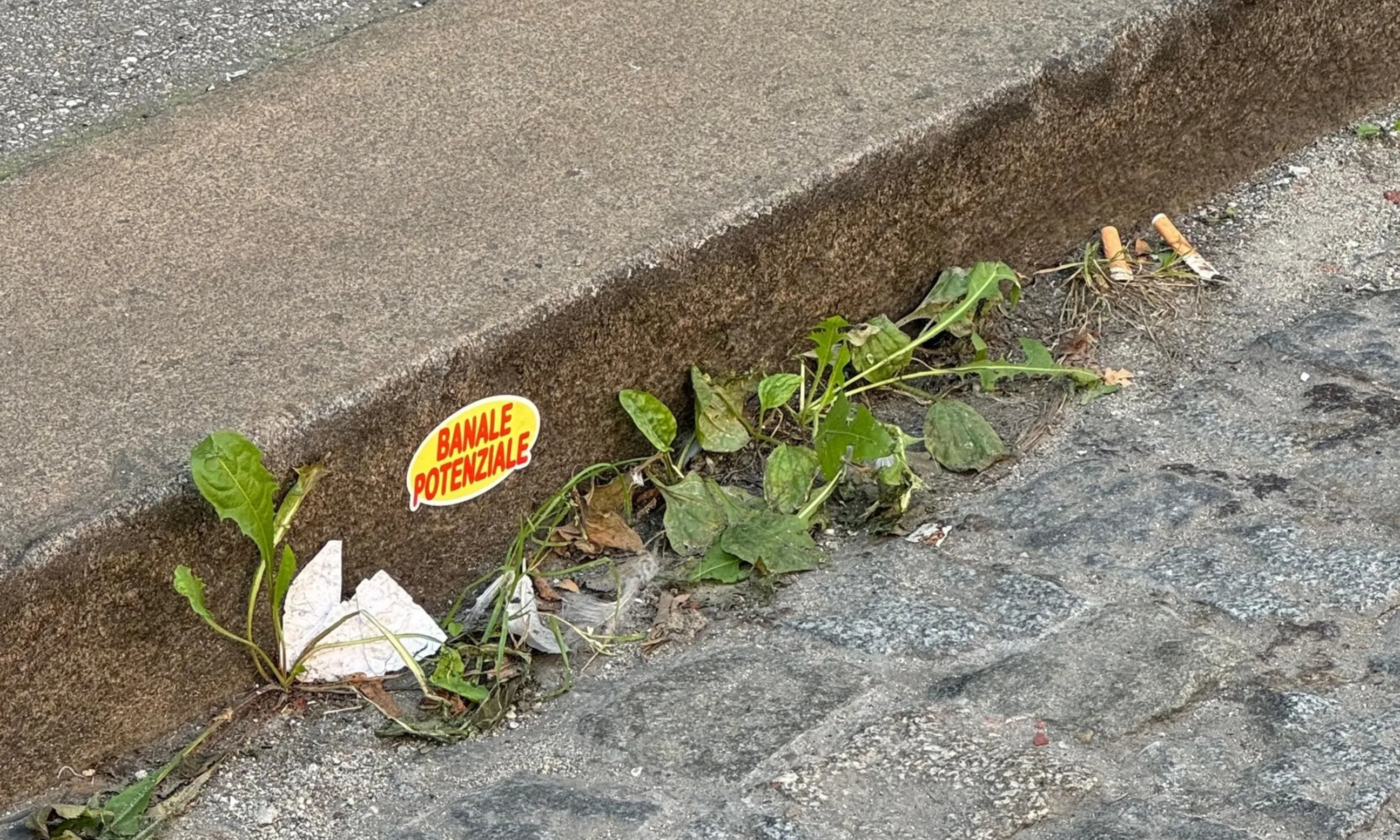 Bild einer Gehsteigkante, auf der Kante ist ein gelb-roter Sticker angebracht mit der Aufschrift banale potenziale