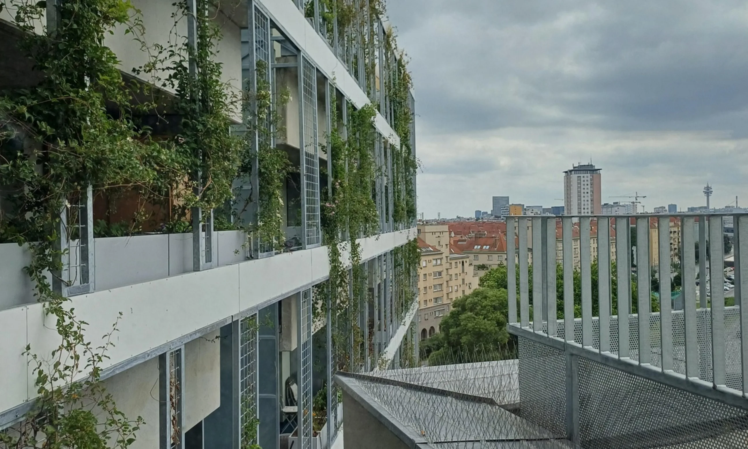 Begrünte Fassade, im Hintergrund eine Stadtdachlandschaft