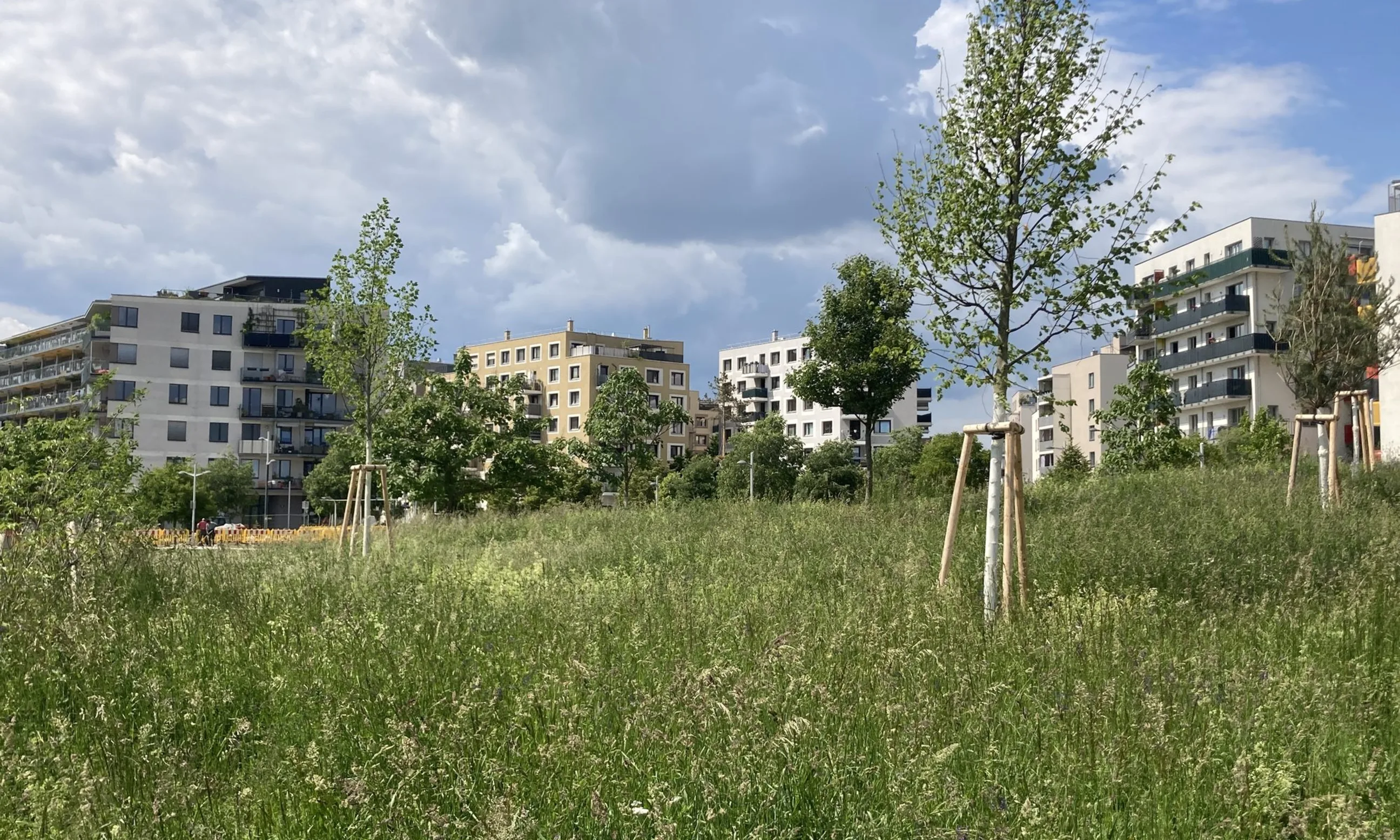 Hannah Arendt Park 2025