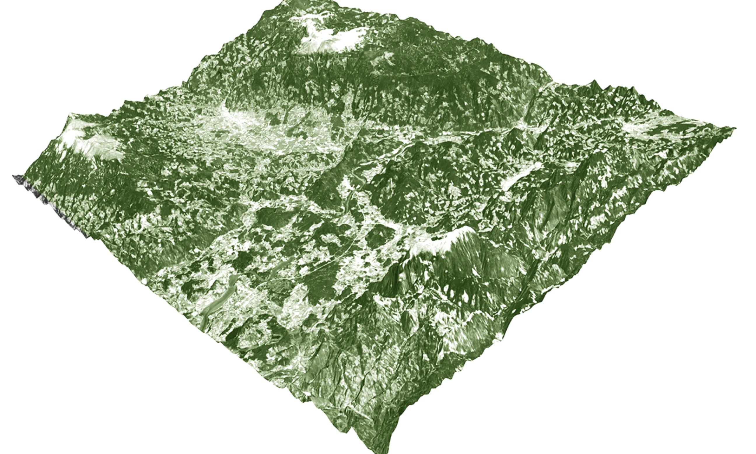 3D Topographie in grün und weiß