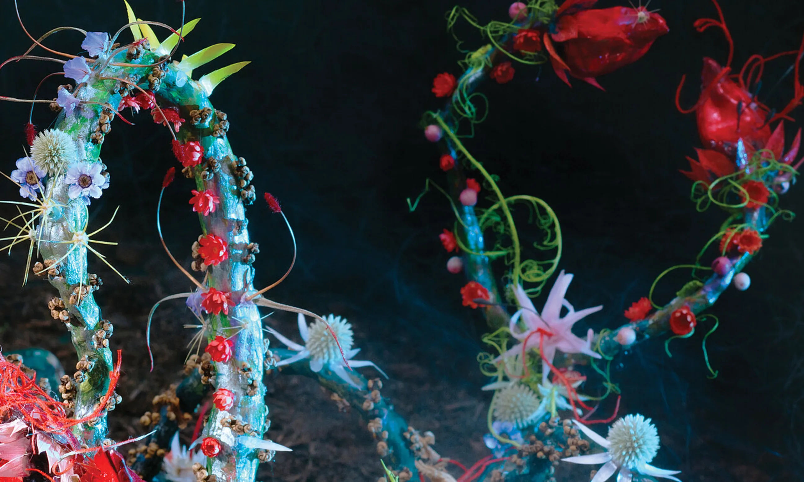 Bild von bunten Blumen auf schwarzem Hintergrund