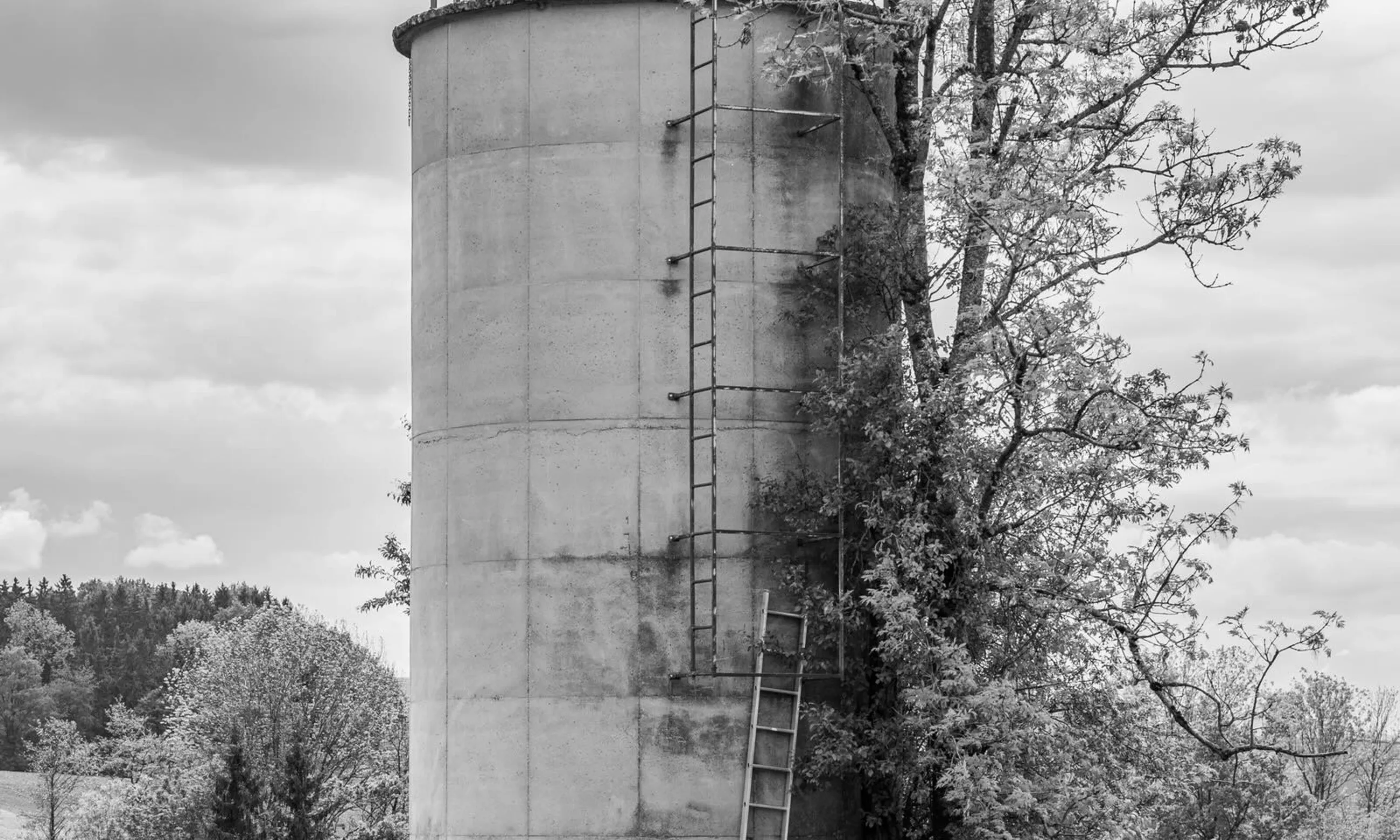 Schwarz-weißes Foto eines Silos in einer Naturlandschaft
