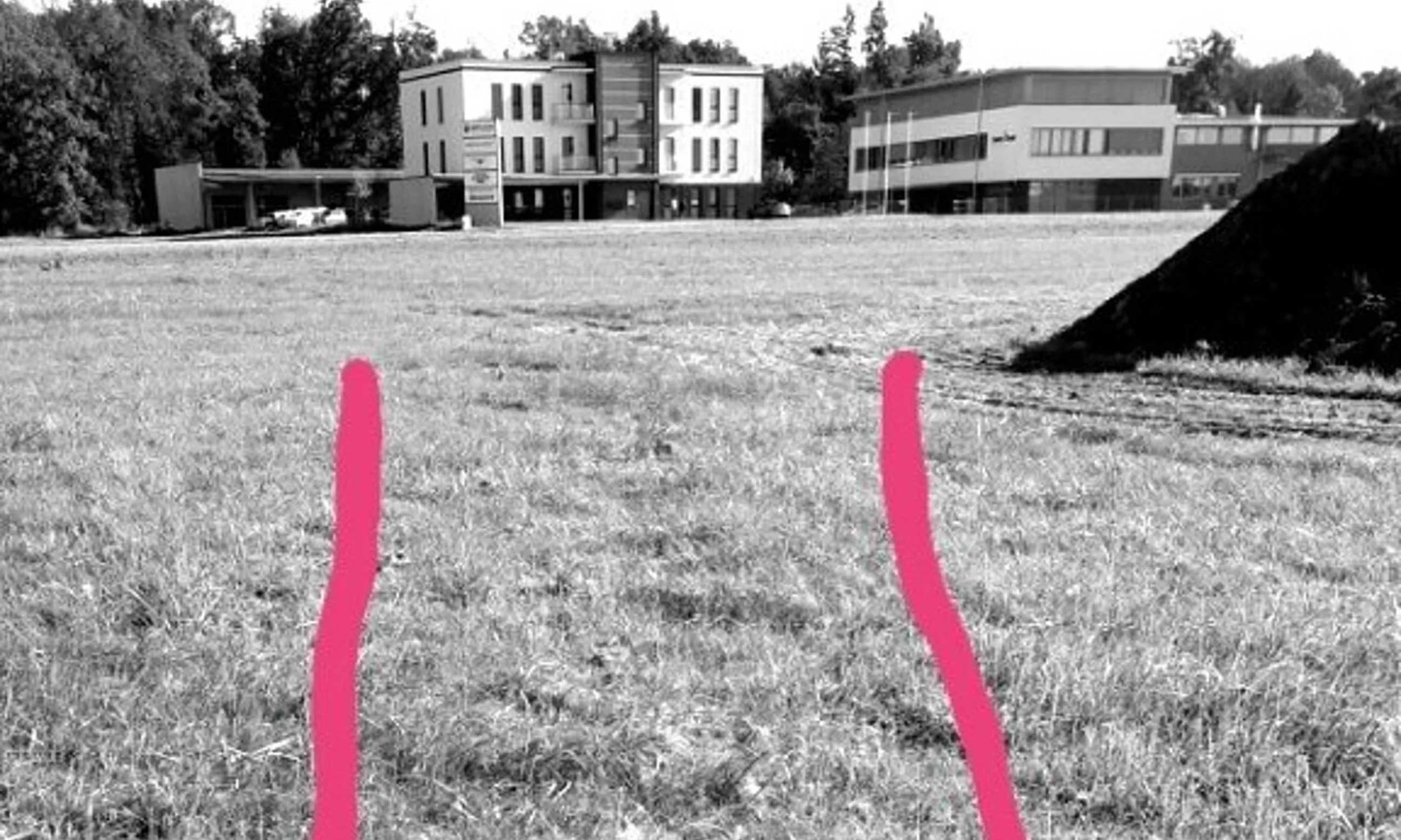 Foto einer Wiese in schwarz-weiß, zwei vertikale Striche in Magenta digital reingezeichnet